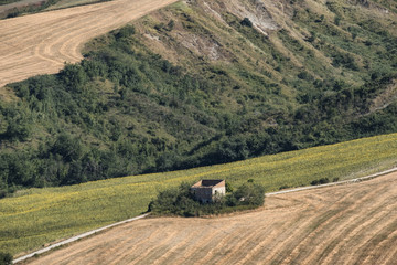 Summer landscape in Marches near Fossombrone