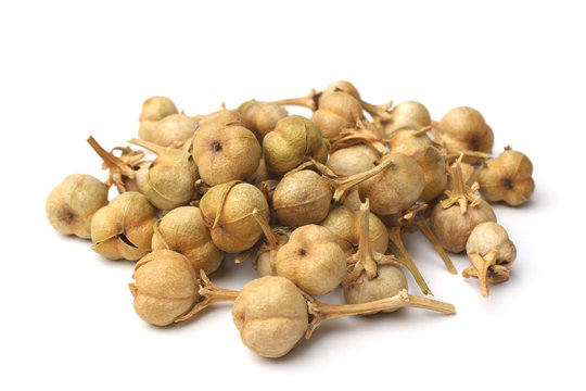 Peganum harmala fruit