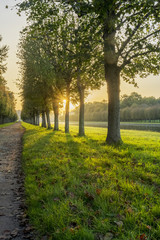 Parc de Fontainebleau au soleil couchant