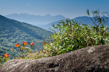 Morro Pão de Ló