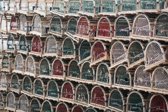 Rows of empty lobster pots on seaside dock