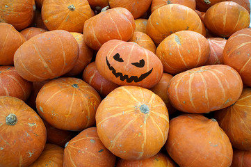 Hellowen pumpkin among the pumpkins