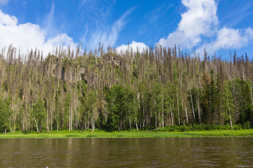 A small siberian river. Krasnoyarsk region, Russia	