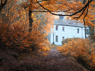 white painted cottage surrounded by beautiful autumn trees at the end of a woodland forest path