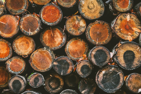 Stacked Logs