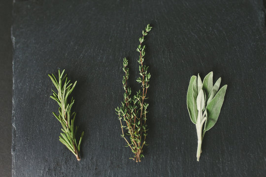 Rosemary, thyme, and sage lined up on a slate background