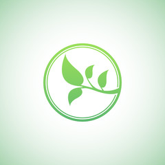 Green leaf logo template. Eco lifestyle concept.
