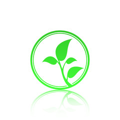 Green leaf logo template with reflect. Eco lifestyle concept.
