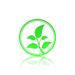 Obraz premium Green leaf logo template with reflect. Eco lifestyle concept.