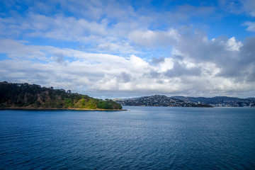 Wellington city view from the sea, New Zealand © daboost