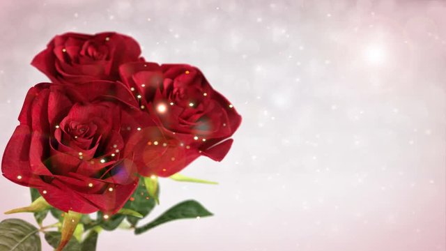 rotating red roses, wedding, birthday, st. valentines theme - 3D render. seamless loop