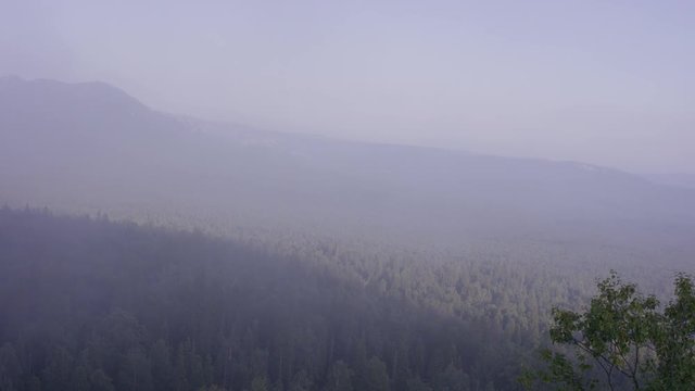 Sunlight in spruce forest in the fog on the background of mountains, at sunset. Aerial View of mountains covered with pine forest in the morning mist. Fit-tree evergreen mountain forest covered in fog