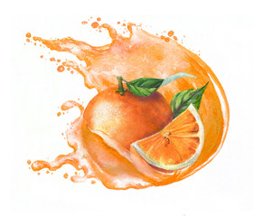 Hand-drawn watercolor vibrant illustration of the fresh juicy oranges. Dynamic splashes of the orange juice and ripe tropical fruits isolated on the white background. Food clipart.
