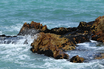 Cape Point, Cape of good Hope, South Africa