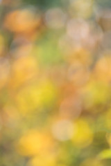 Colorful autumn bokeh effect