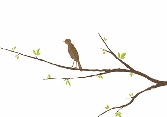 bird sitting on a branch with green leaves