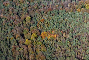 Vue aérienne de la forêt de Fontainebleau à l'automne