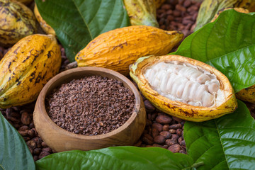 Ripe cocoa pod and nibs, cocoa beans setup background