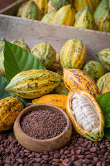 Ripe cocoa pod and nibs, cocoa beans setup background