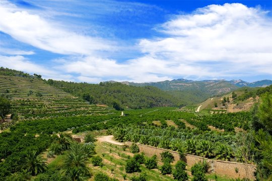 terraced farm valley along Via Verda in Catalonia, Spain on sunny day