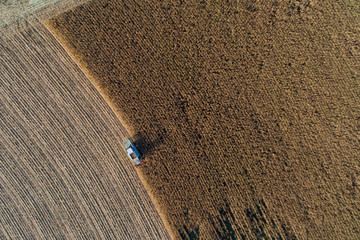 Mähdrescher mit Traktor erntet Mais im Spätsommer 