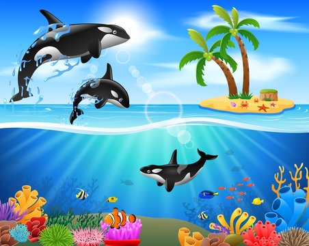 Cartoon killer whale jumping in blue ocean background. vector illustration