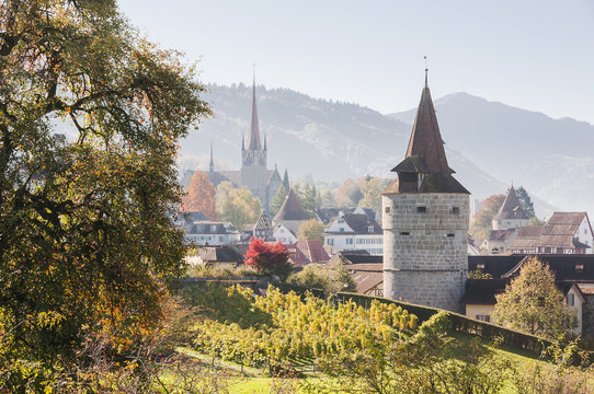 Stadt Zug, Zug, Stadt, Altstadt, Altstadth&auml;user, Stadtmauer, Kapuzinerturm, St. Michael, Kirche, Weinberg, Guggi, Rosengarten, Herbst, Schweiz