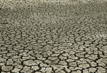 cracked soil when water dry out from sun heat