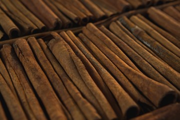 Cinnamon sticks arranged in a row