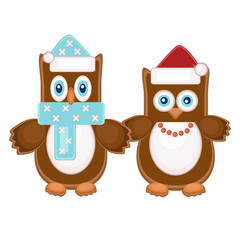 Christmas owl-cookies