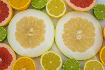 Fototapeta premium Slices of various citrus fruits