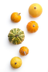 Pumpkin variation viewed from above. Halloween season pumpkins. Top view