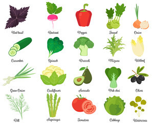 Set of tasty vegetables - obrazy, fototapety, plakaty