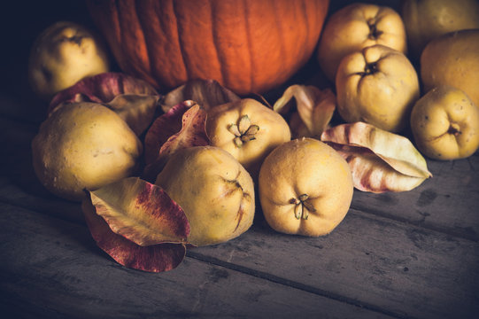 Herbstliches Stillleben mit K&uuml;rbis und Quitten