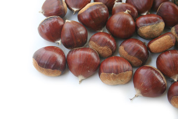 Castagne su sfondo bianco