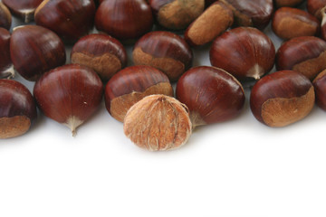 Castagne su sfondo bianco