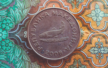 Macedonia currency denar on the banknote pattern background, close up. Photo depicts Macedonian cash shiny denari metal coins, close up, macro view.