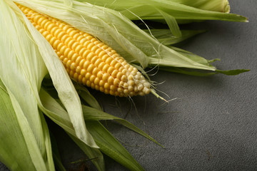 Organic corn on loft background