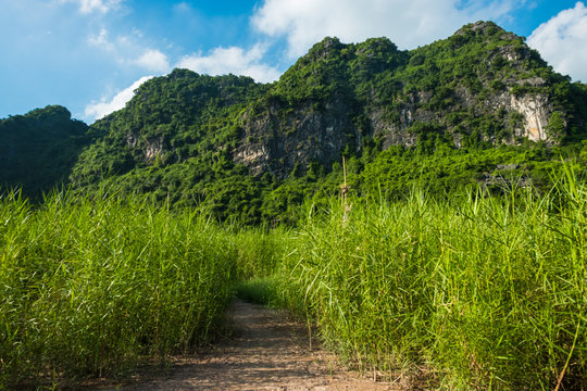 Landscape with dirt soil pathway and mountain - Powered by Adobe