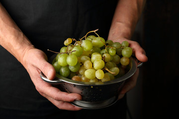 Harvest of grapes in hands