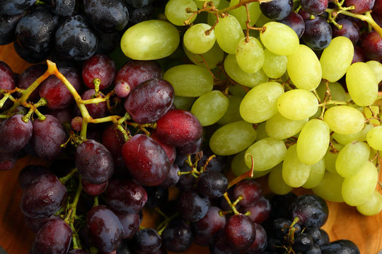 Fresh grapes mix above