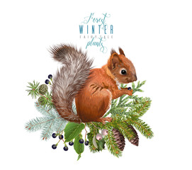 Winter squirrel composition © purplebird