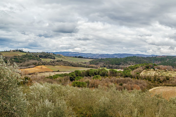 Fototapeta na wymiar Landscape near Monteriggioni, Italy