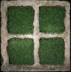 Abstract grass floor , used for background website or add text in advertise