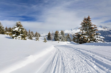 Obraz premium path in the snow