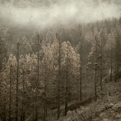 textured old paper background