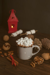 Cocoa drink with marshmallows and cinnamon, vertical