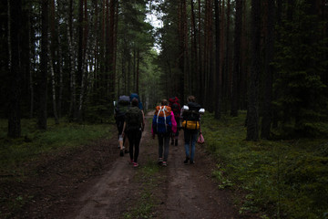 Fototapeta premium hike