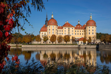 Fototapeta na wymiar Schloss Moritzburg Sachsen
