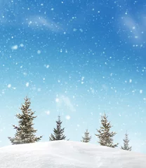 Foto op Plexiglas Winter Winterlandschap met sparren. Prettige kerstdagen en gelukkig nieuwjaar begroeting achtergrond